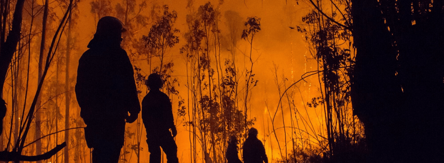Low angle silhouette of firefighters and burning trees